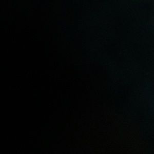 Meet your Posher, Daisy